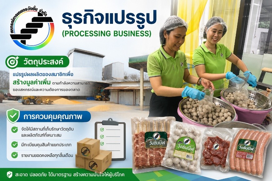 รูปภาพ7
